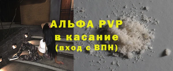 сатива Балахна