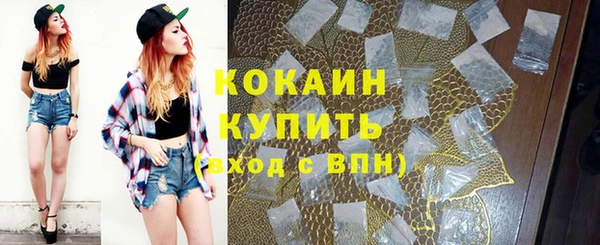 сатива Балахна