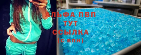 сатива Балахна
