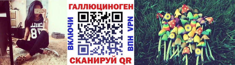 Псилоцибиновые грибы GOLDEN TEACHER Талдом